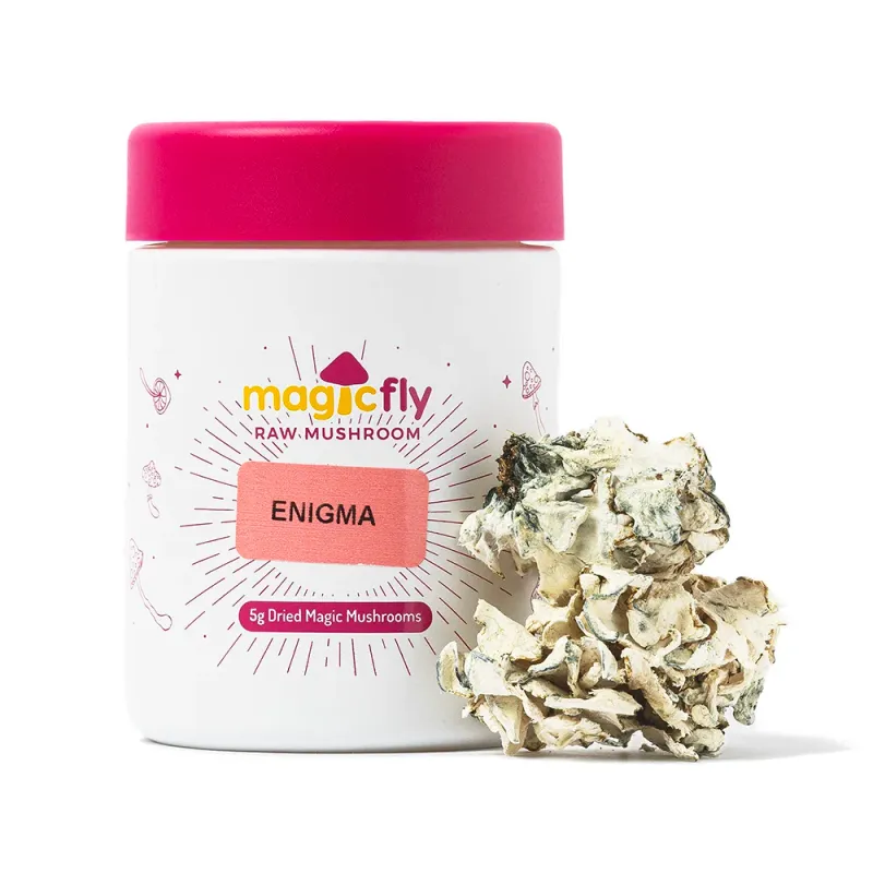 Enigma Raw Mushrooms 5g