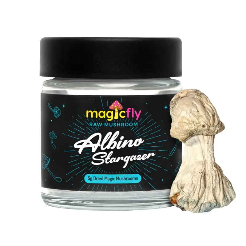Albino Stargazer Raw Mushrooms 5g