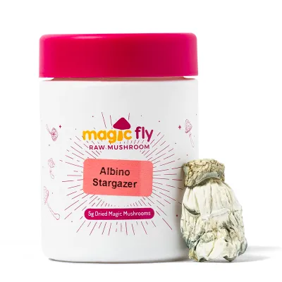 Albino Stargazer Raw Mushrooms 5g