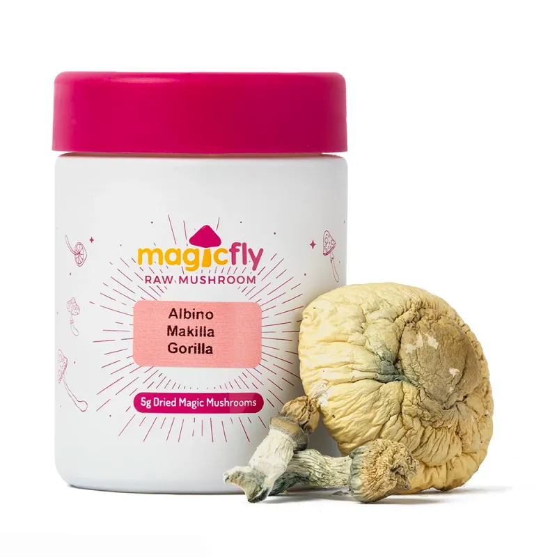 Albino Makilla Gorilla Raw Mushrooms 5g