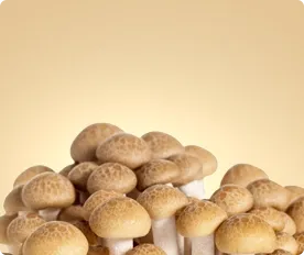Raw Mushroom