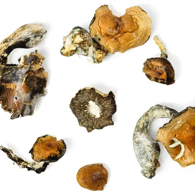Hillbilly Raw Mushroom 5g