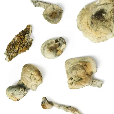 Big Ghost Raw Mushroom 5g