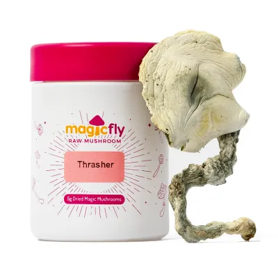 Trasher Raw Mushroom 5g