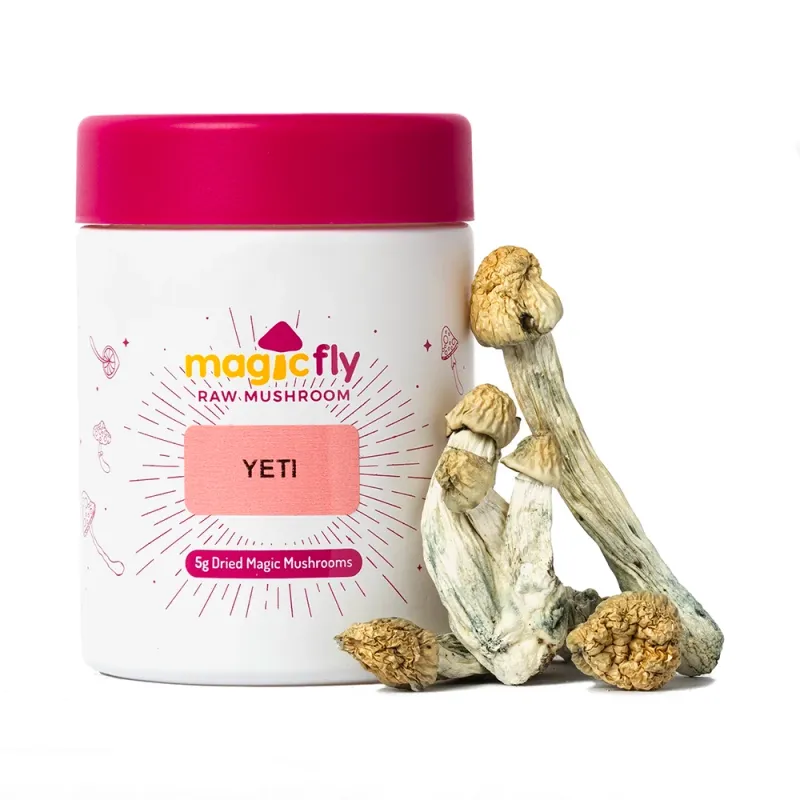 Yeti Raw Mushrooms 5g