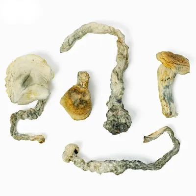 Trasher Raw Mushroom 5g