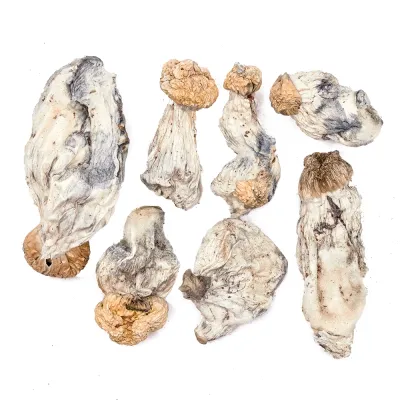 Yeti Raw Mushrooms 5g