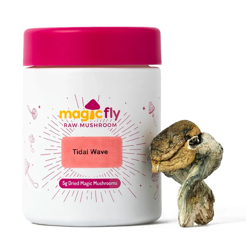 Tidal Wave Raw Mushrooms 5g