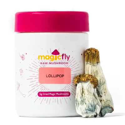 Lollipop Raw Mushrooms 5g