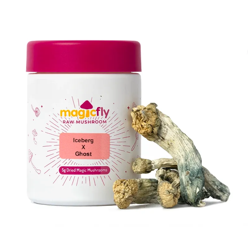 Iceberg x Ghost Raw Mushrooms 