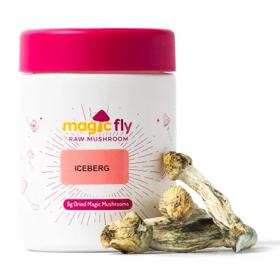 IceBerg Raw Mushrooms 5g