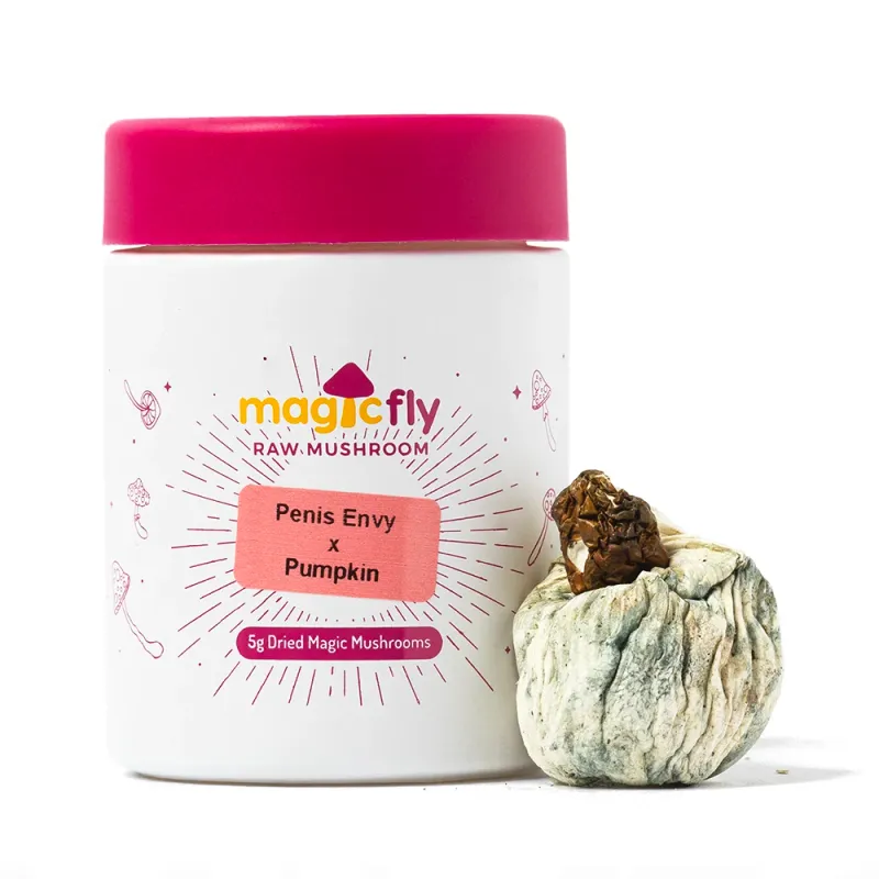 Penis Envy x Pumpkin Raw Mushrooms