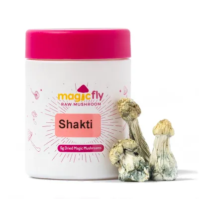 Shakti Raw Mushrooms 5g