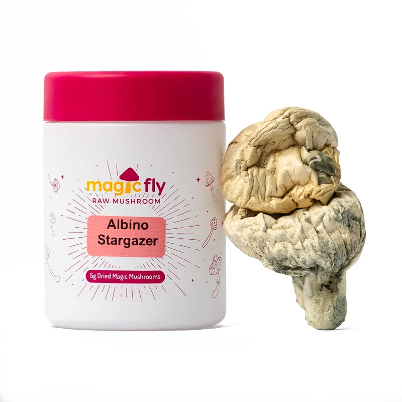 Albino Stargazer Raw Mushrooms 5g