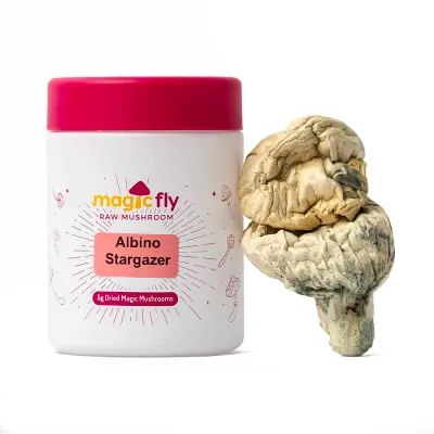 Albino Stargazer Raw Mushrooms 5g