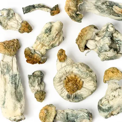 Purple Mystic Raw Mushrooms 5g