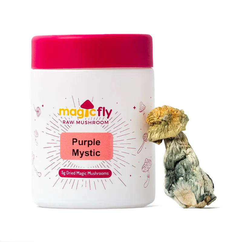 Purple Mystic Raw Mushrooms 5g