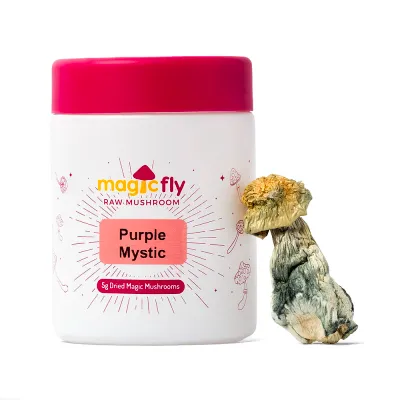 Purple Mystic Raw Mushrooms 5g