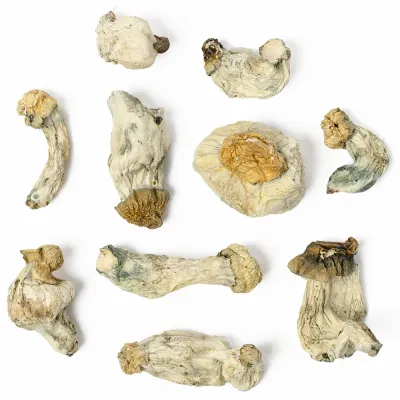 Ghost Raw Mushrooms 5g