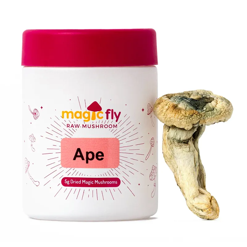 Ape Raw Mushrooms 5g