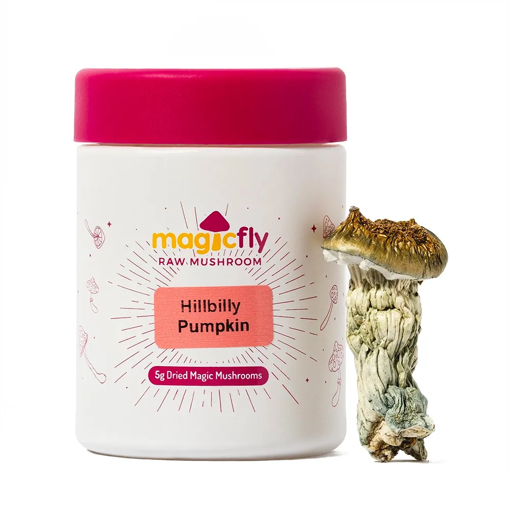 Hillbilly Pumpkin Raw Mushrooms 5g