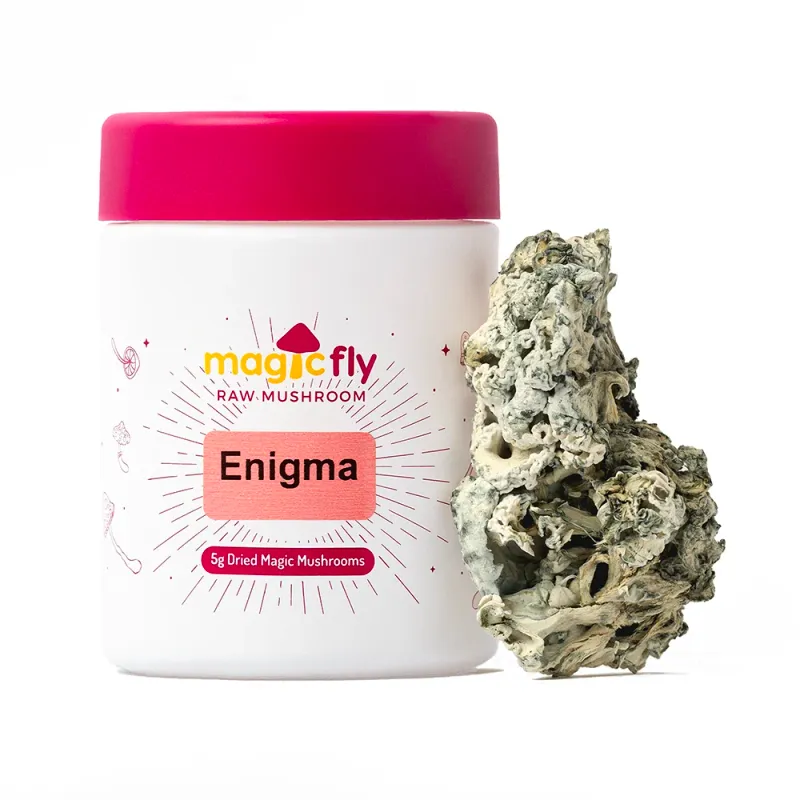 Enigma Raw Mushrooms 5g