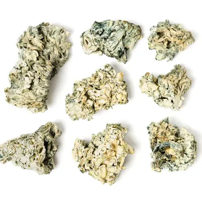 Enigma Raw Mushrooms 5g