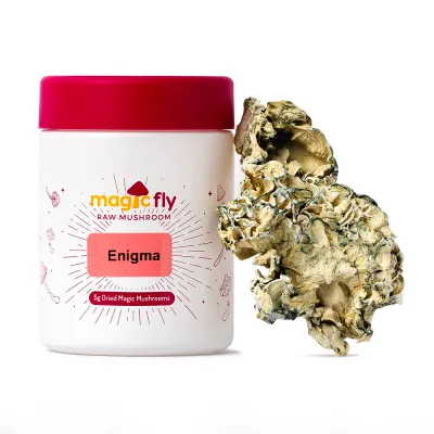 Enigma Raw Mushrooms 5g
