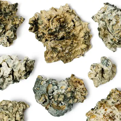 Enigma Raw Mushrooms 5g