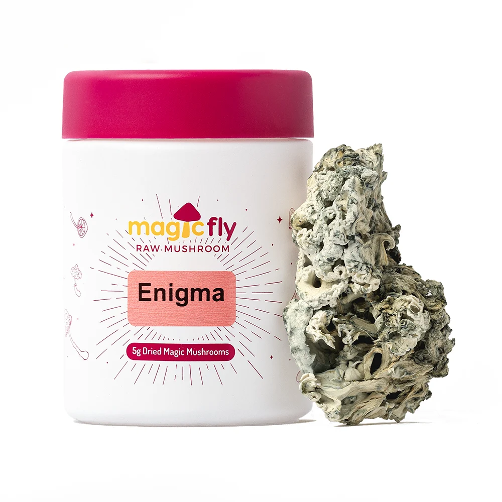 Magicfly Enigma Raw Mushroom 5g