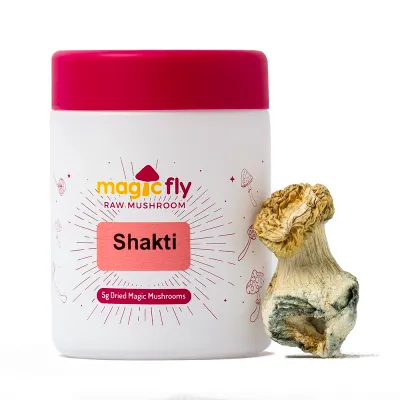 Shakti Raw Mushrooms 5g