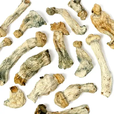 Shakti Raw Mushrooms 5g