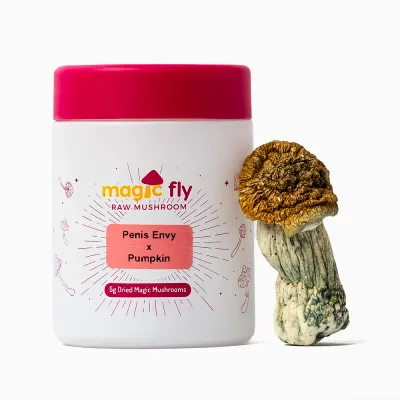 Penis Envy x Pumpkin Raw Mushrooms