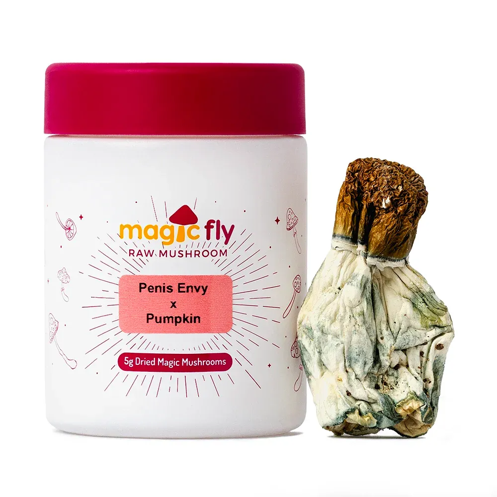 Penis Envy x Pumpkin Raw Mushrooms