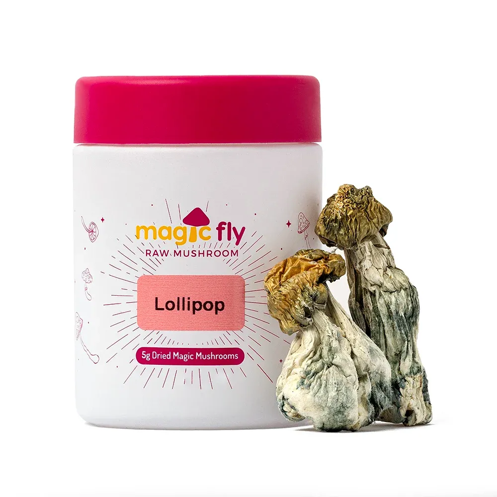 Lollipop Raw Mushrooms 5g