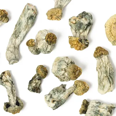 Lollipop Raw Mushrooms 5g