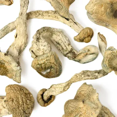 Trasher Raw Mushrooms 5g