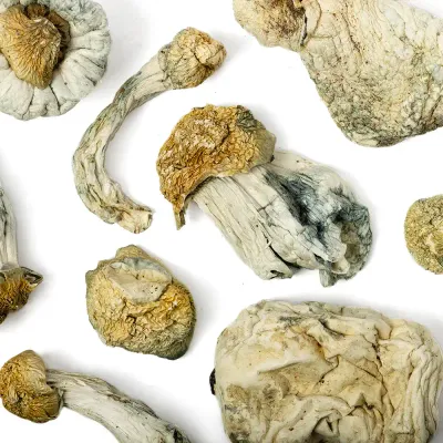 Big Ghost Raw Mushrooms 5g