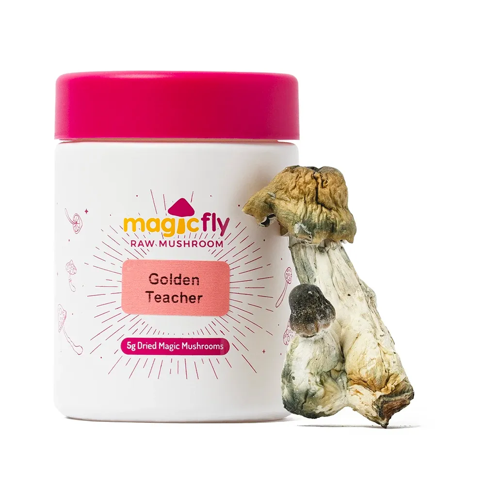 Golden Teacher Raw Mushroom 5g