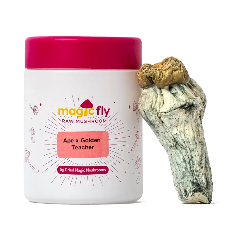 Ape x Golden Teacher Raw Mushrooms 5g