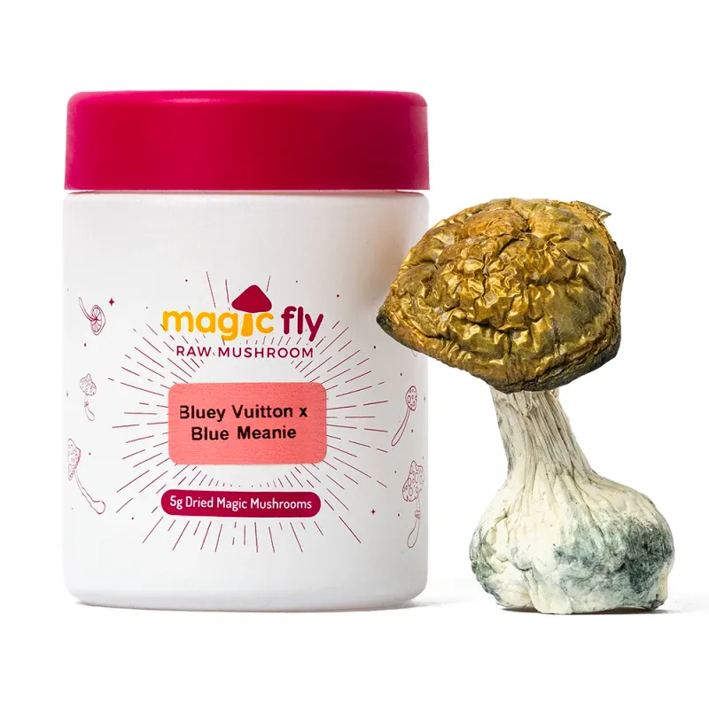 Bluey Vuitton x Blue Meaney Raw Mushrooms
