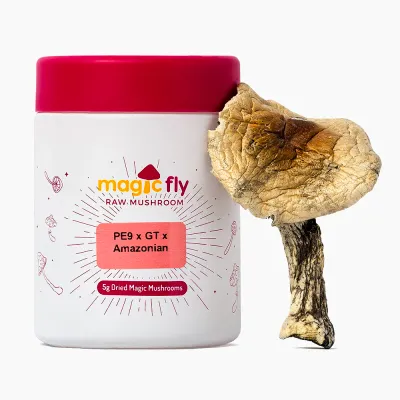 PE9 x GT x Amazonian Raw Mushrooms 5g