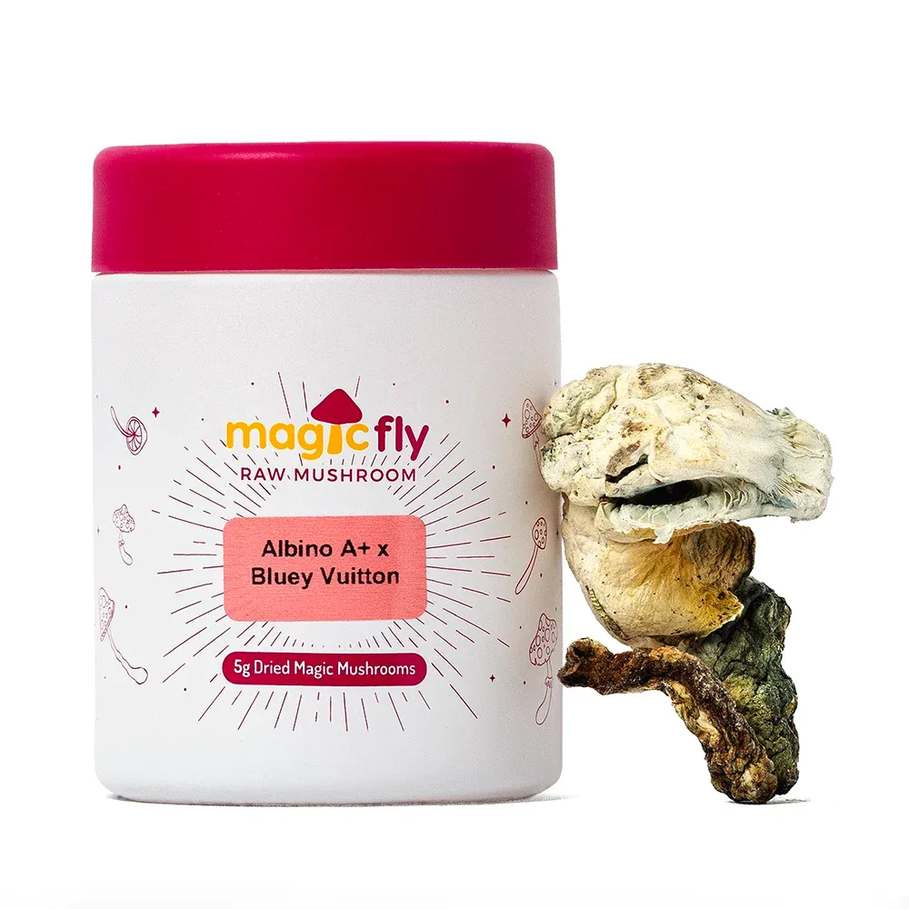 Albino A+ x Bluey Vuitton Raw Mushrooms 5g