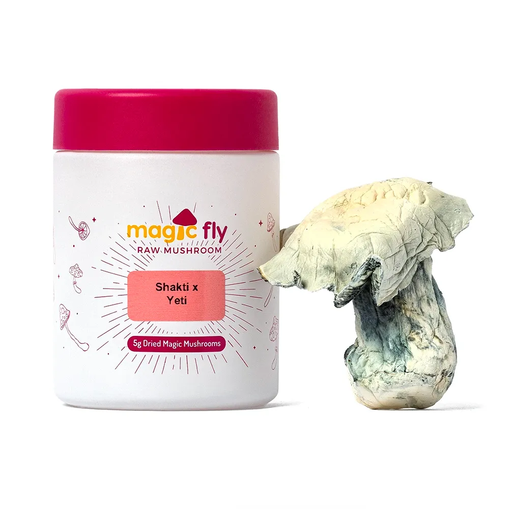 Shakti x Yeti Raw Mushrooms 5g