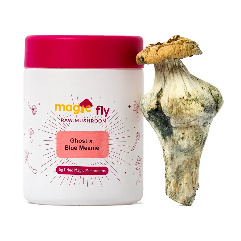Ghost x Blue Meanie Raw Mushrooms 5g