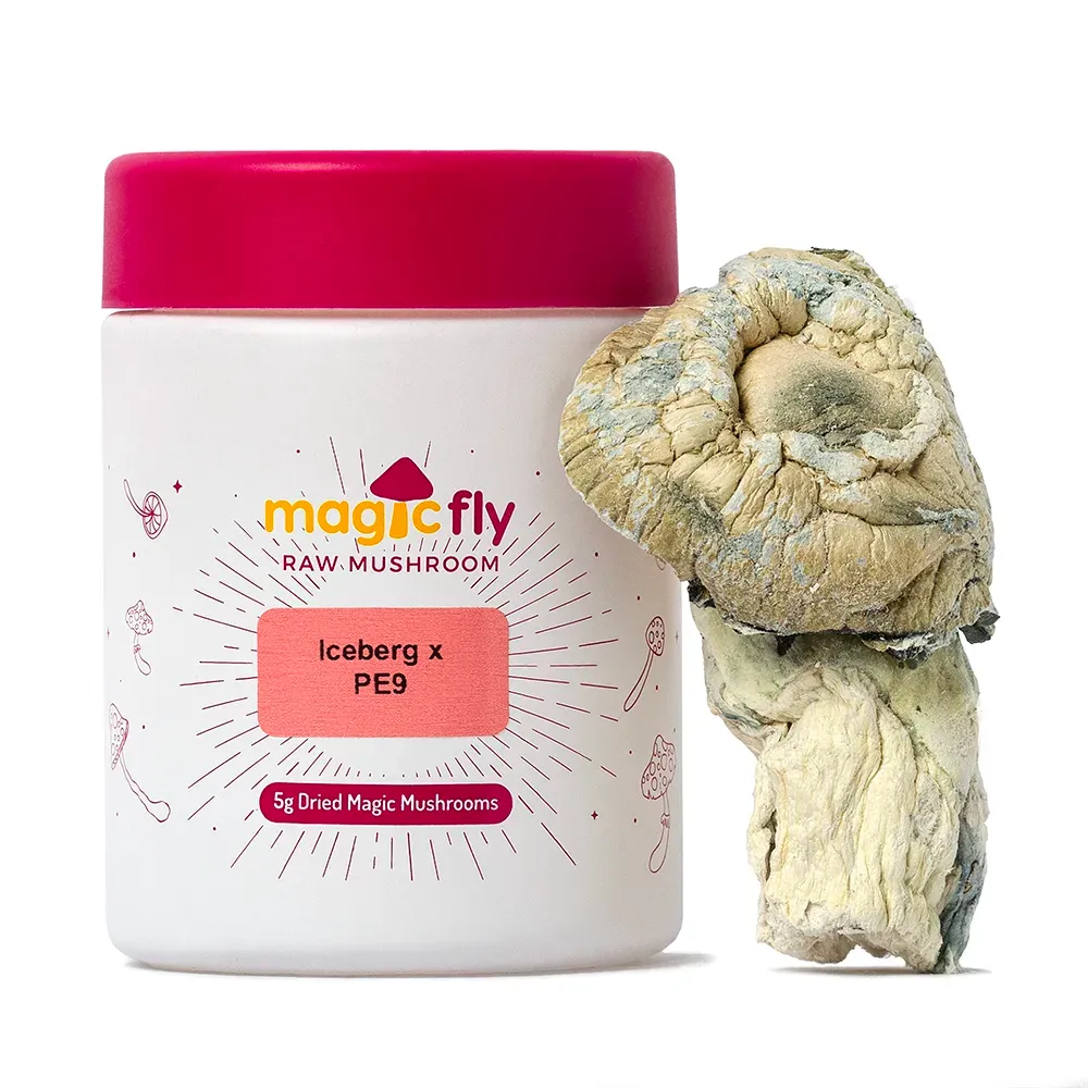 Iceberg x PE9 Raw Mushrooms 5g