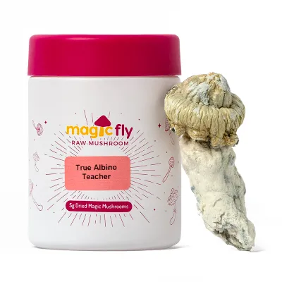 True Albino Teacher Raw Mushrooms 5g