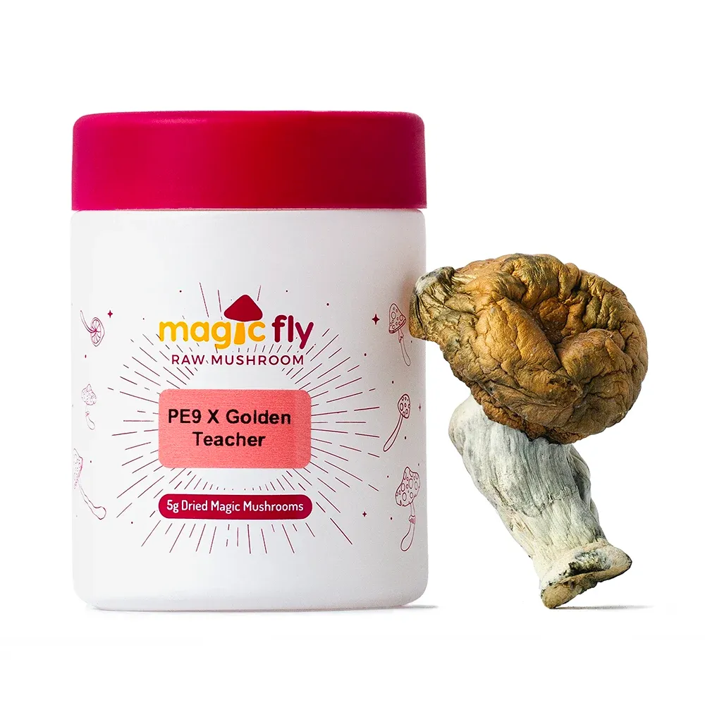 PE9 X Golden Teacher Raw Mushrooms 5g