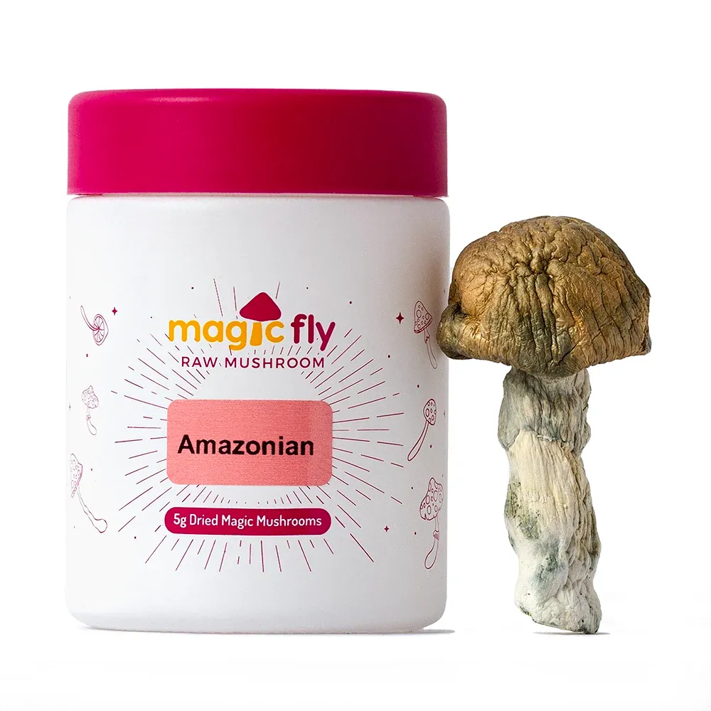 Amazonian Raw Mushrooms 5g