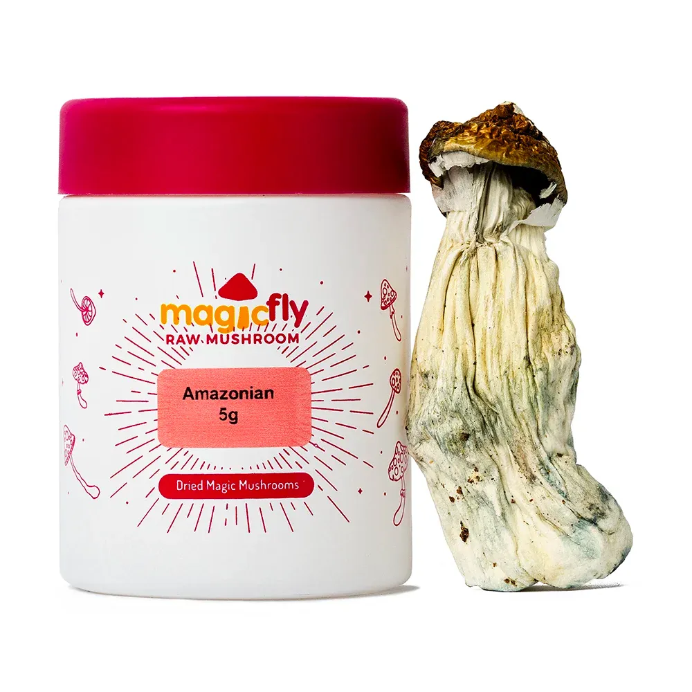 Amazonian Raw Mushrooms